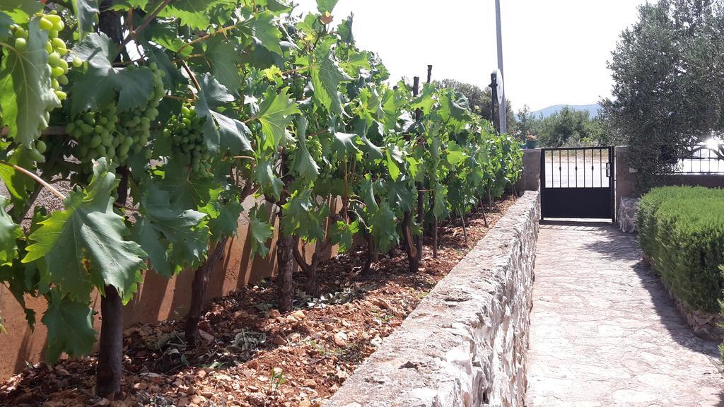 Amadrian Apartments Šibenik Eksteriør bilde